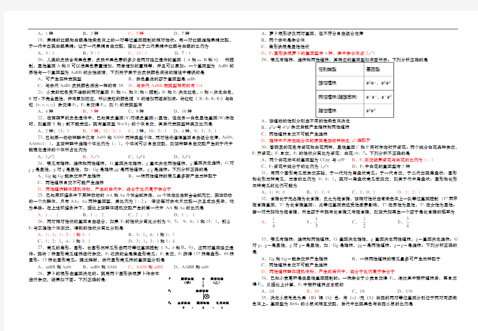 遗传规律竞赛练习题