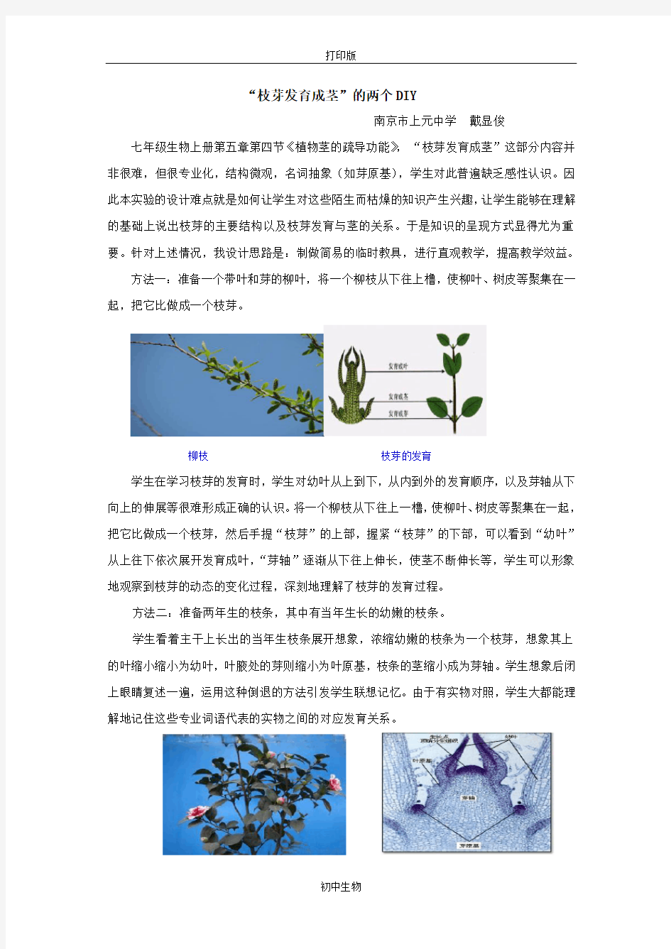 冀少版生物-八年级上册-“枝芽发育成茎”的两个DIY  戴显俊  南京市上元中学
