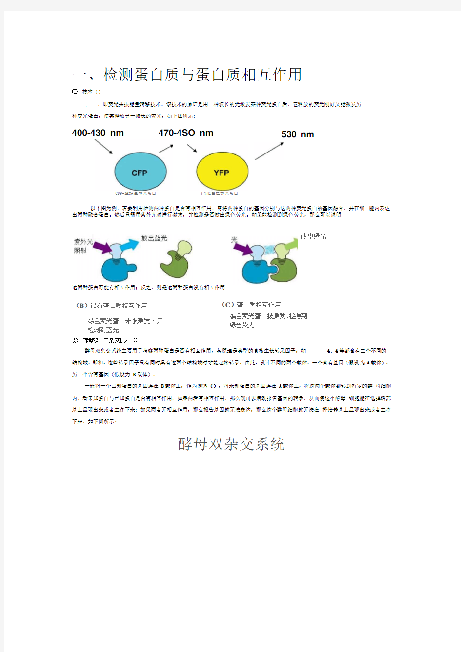 检测蛋白质与蛋白质之间相互作用的实验技术