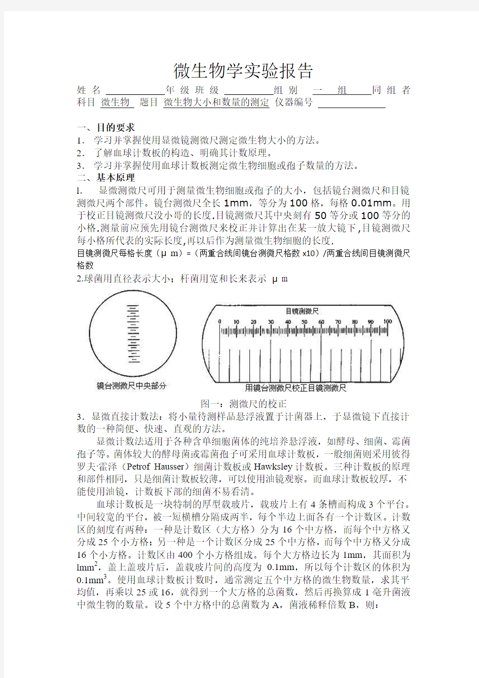 微生物大小的测定及显微镜直接计数法