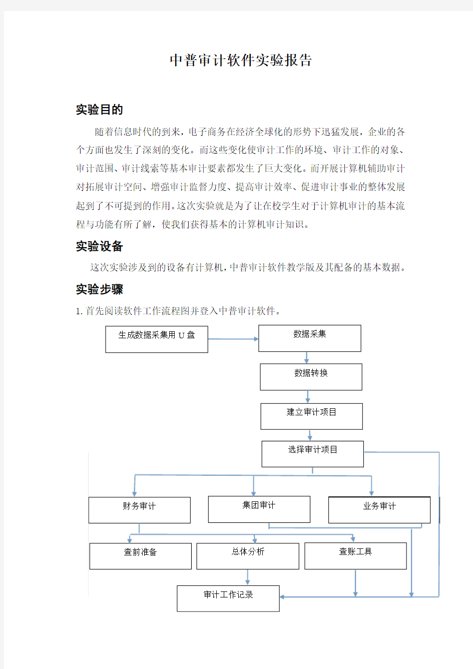 中普审计软件实验报告