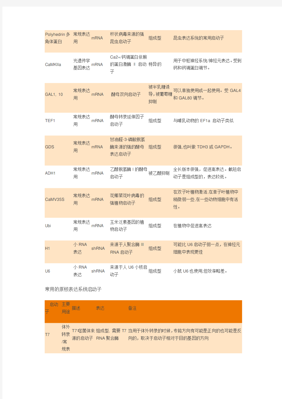 (完整word版)常见真核启动子及原核启动子特点