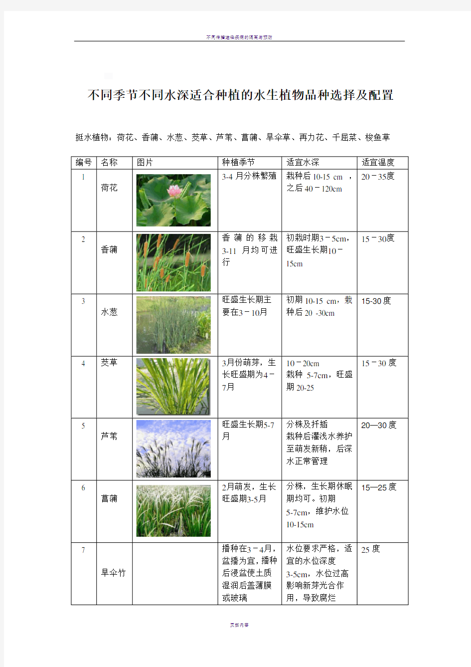 不同季节不同水深适合种植的水生植物选择