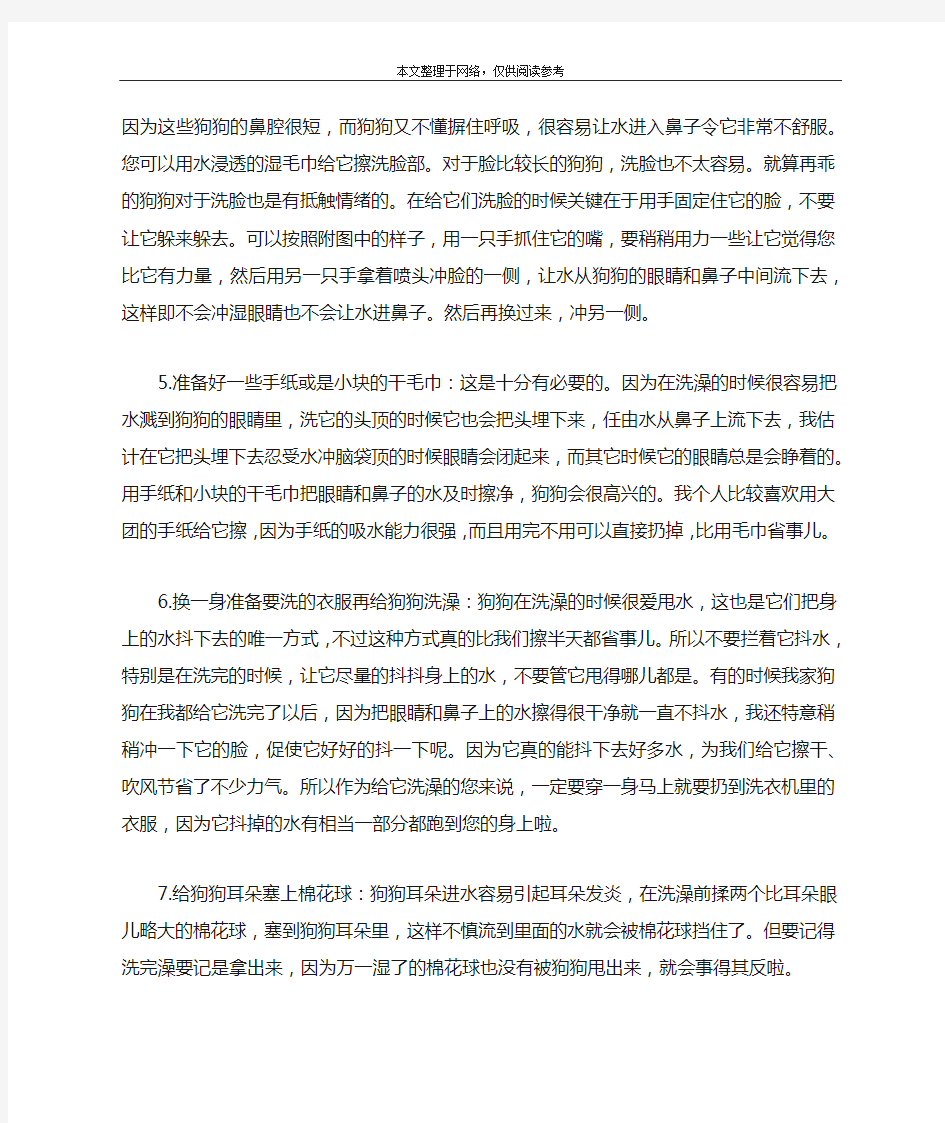 给狗狗洗澡的方法,狗狗洗澡沐浴露的正确使用方法