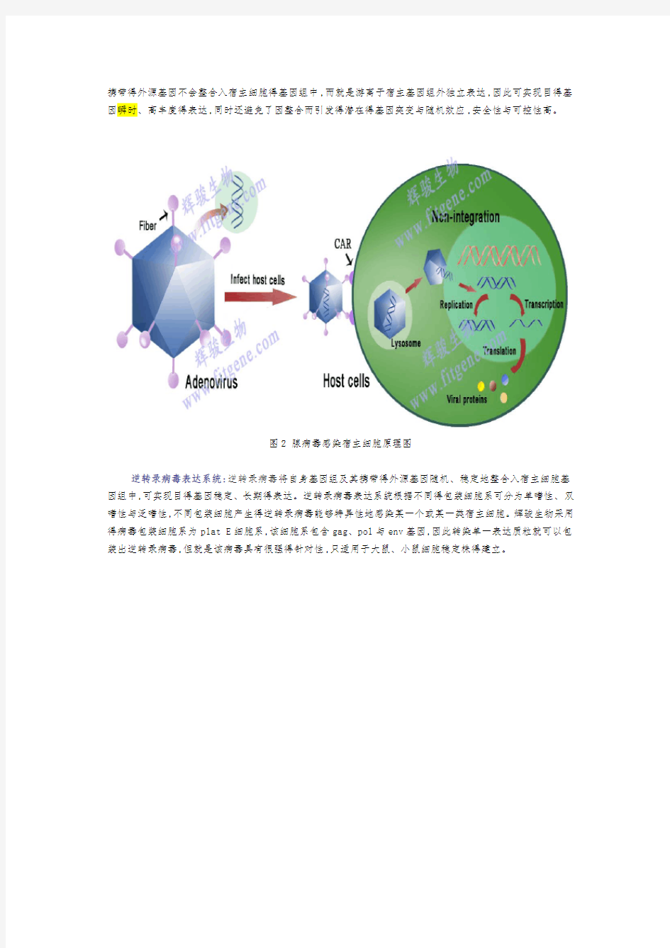 三种病毒转染的异同点