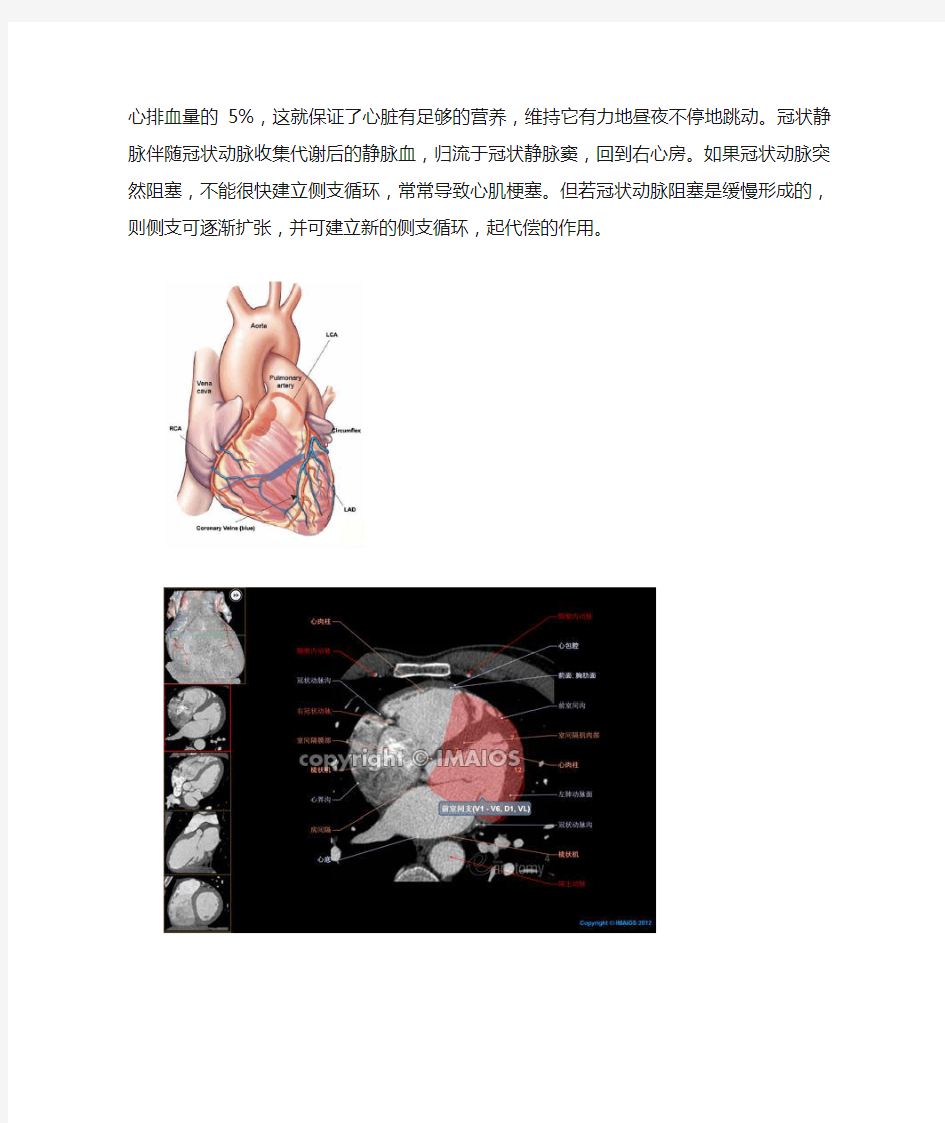 心脏冠状动脉和心静脉解剖图