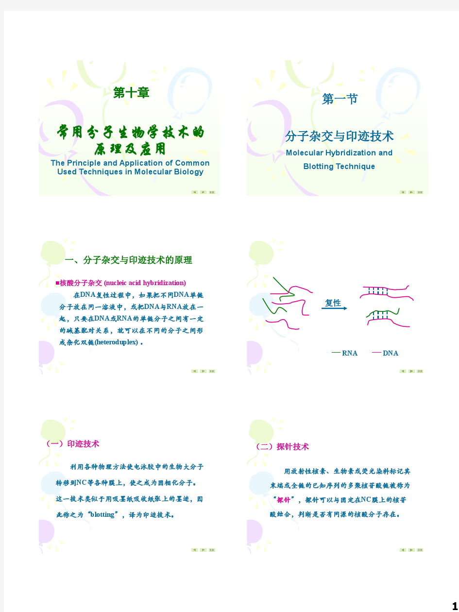 10 常用分子生物学技术的原理及应用(天大BME)