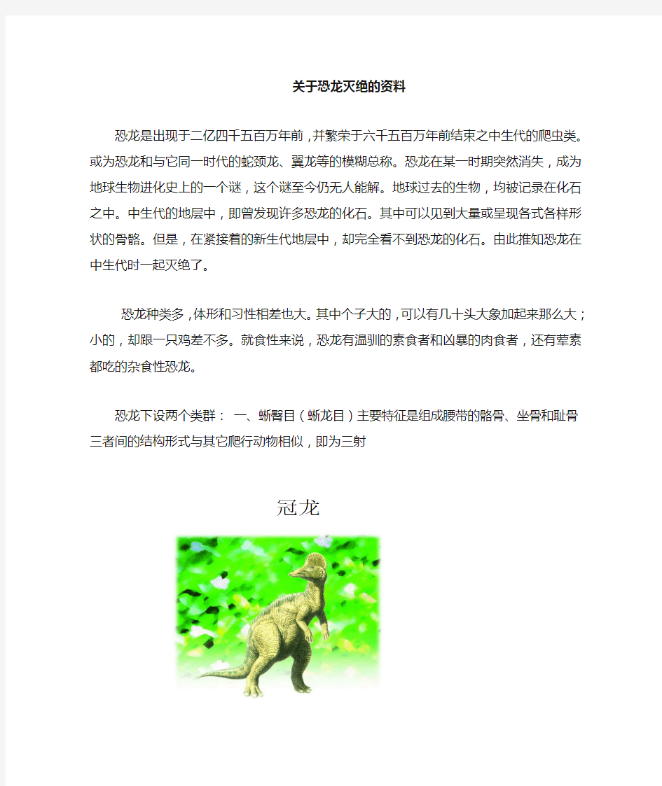 关于恐龙的资料