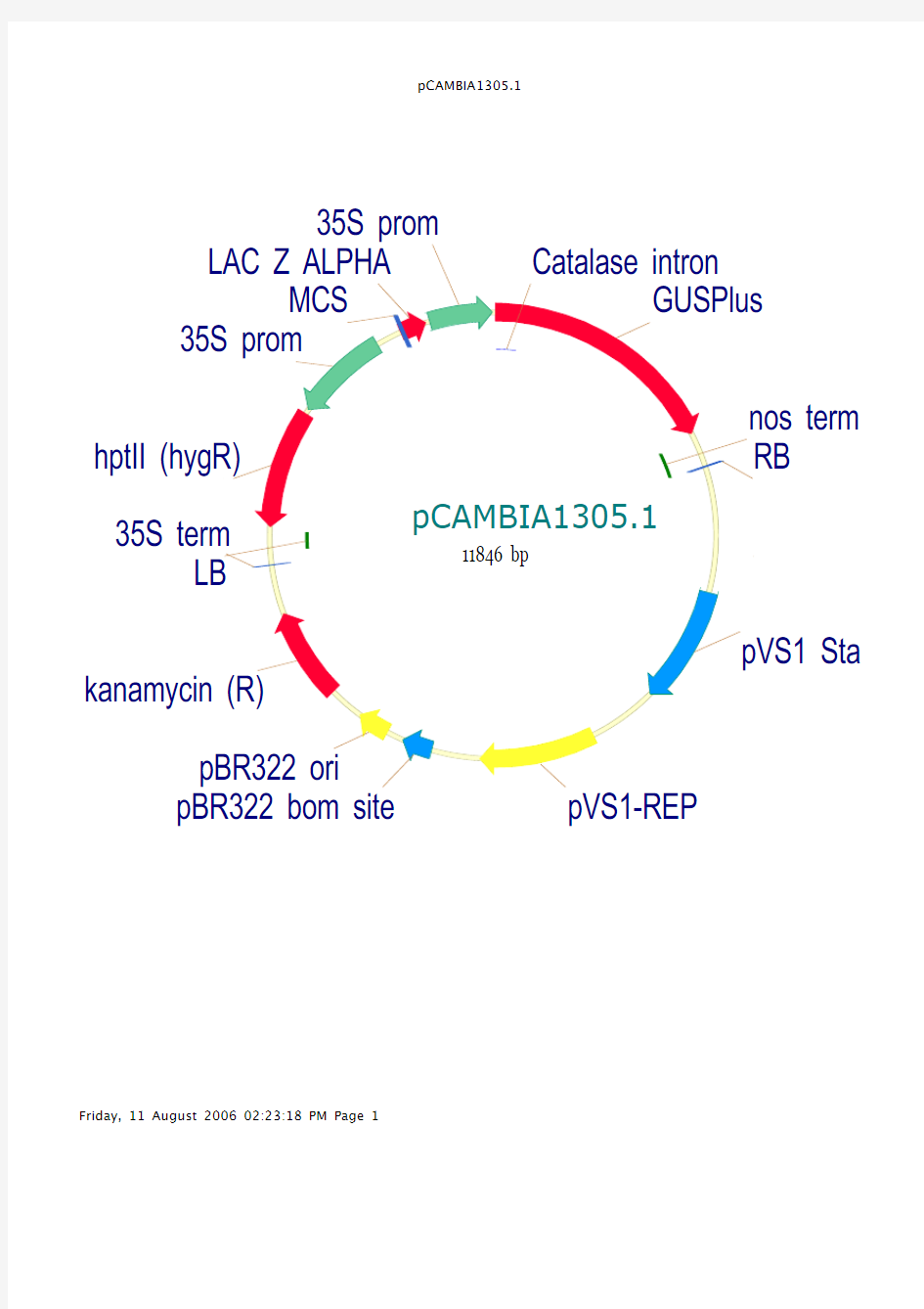 植物表达载体pCAMBIA1305.1 结构