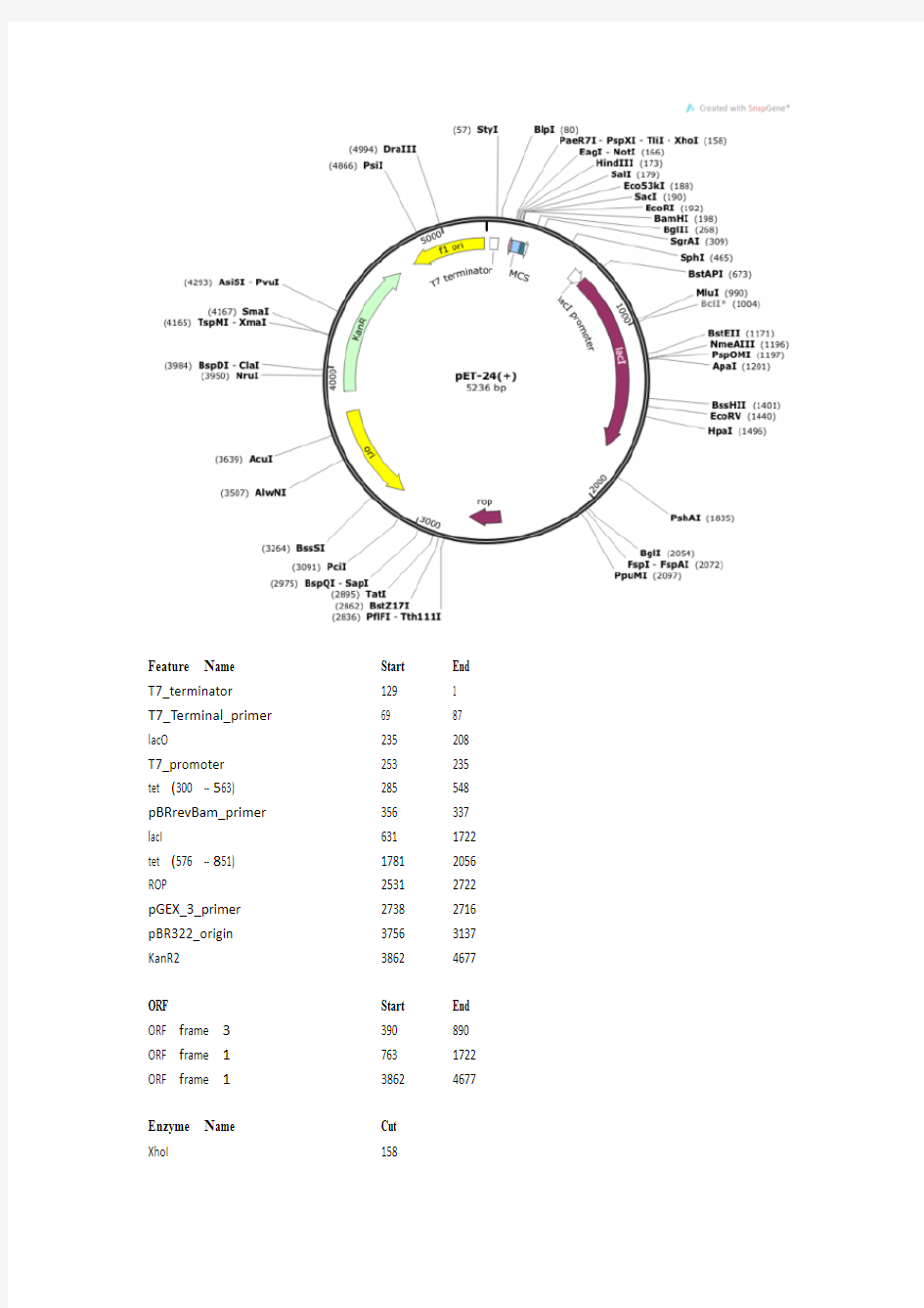pET-24(+)大肠杆菌表达载体说明