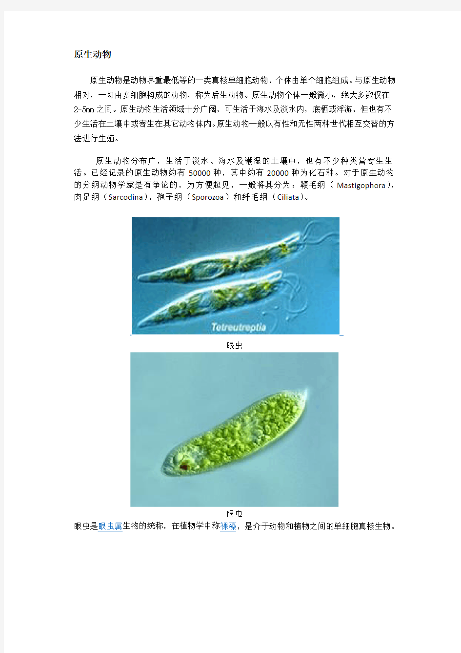 原生动物简介及图片