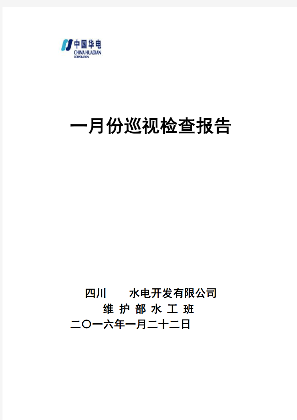 电站日常巡视检查报告---副本