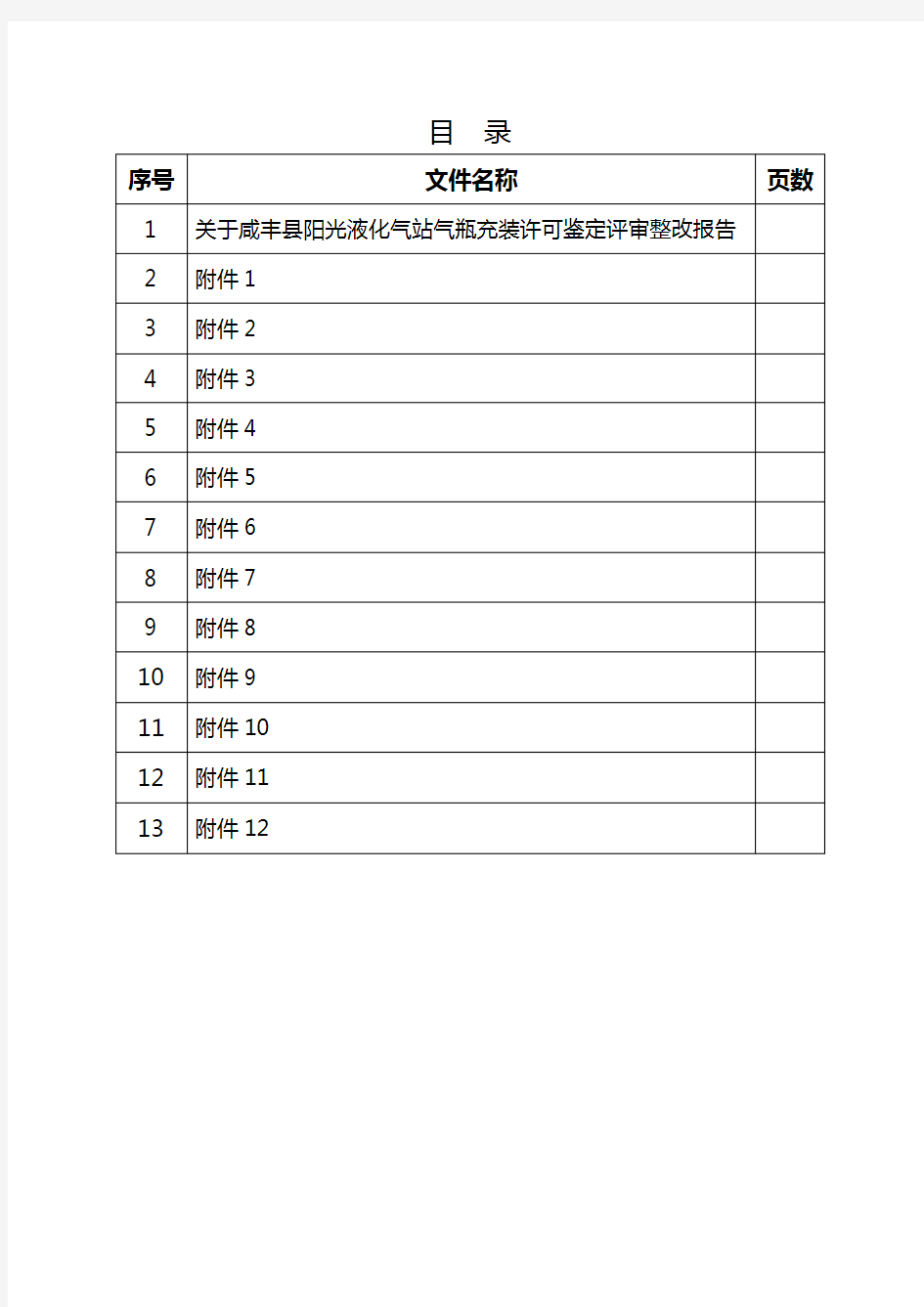 特种设备(气瓶充装)鉴定评审整改报告