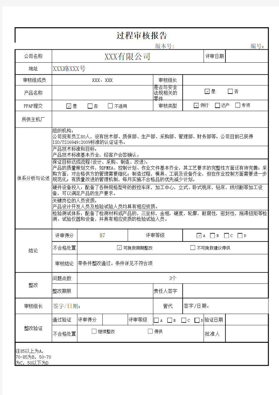 过程审核报告