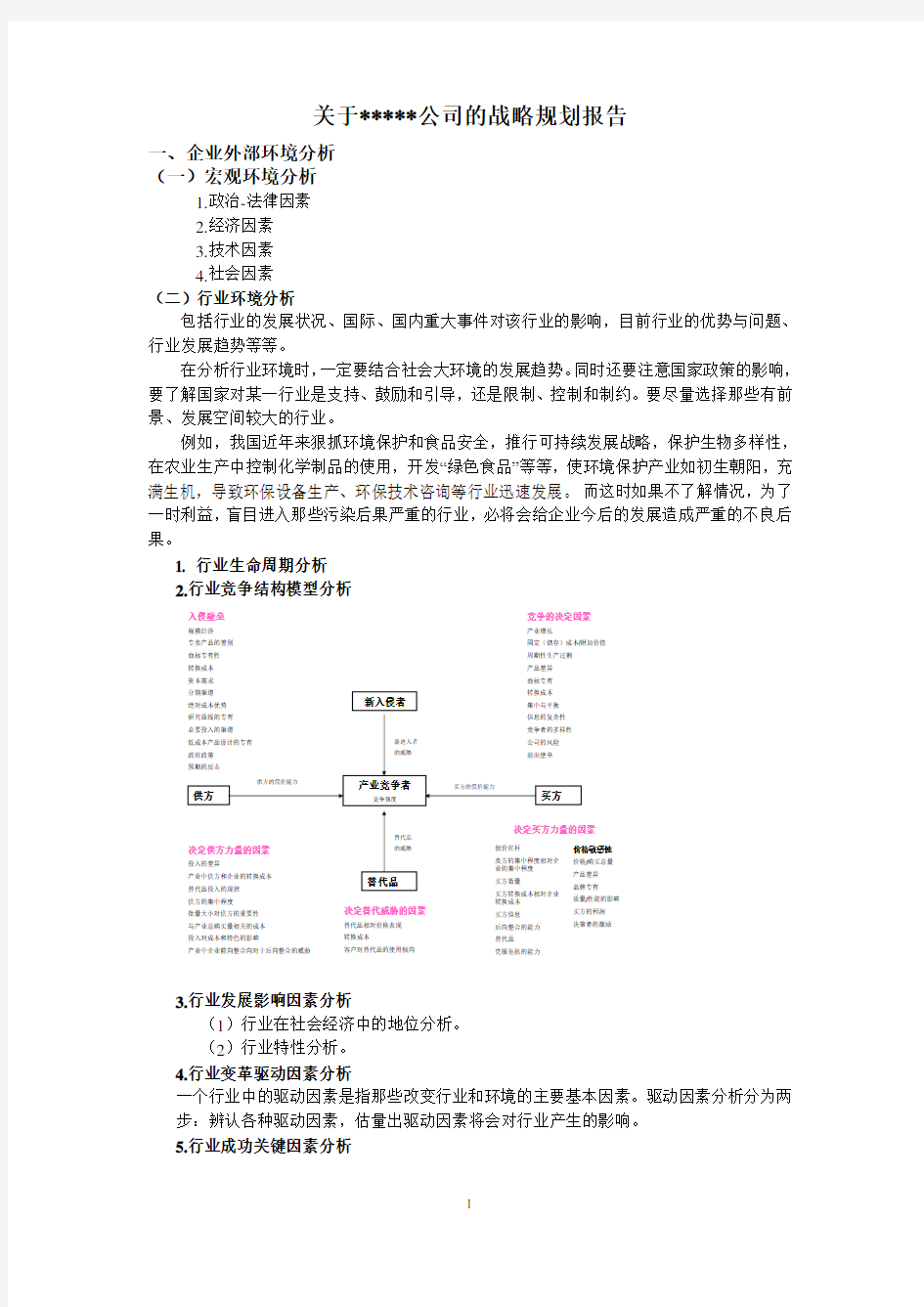 战略规划报告要求