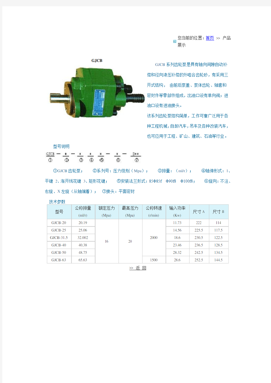 齿轮泵型号说明