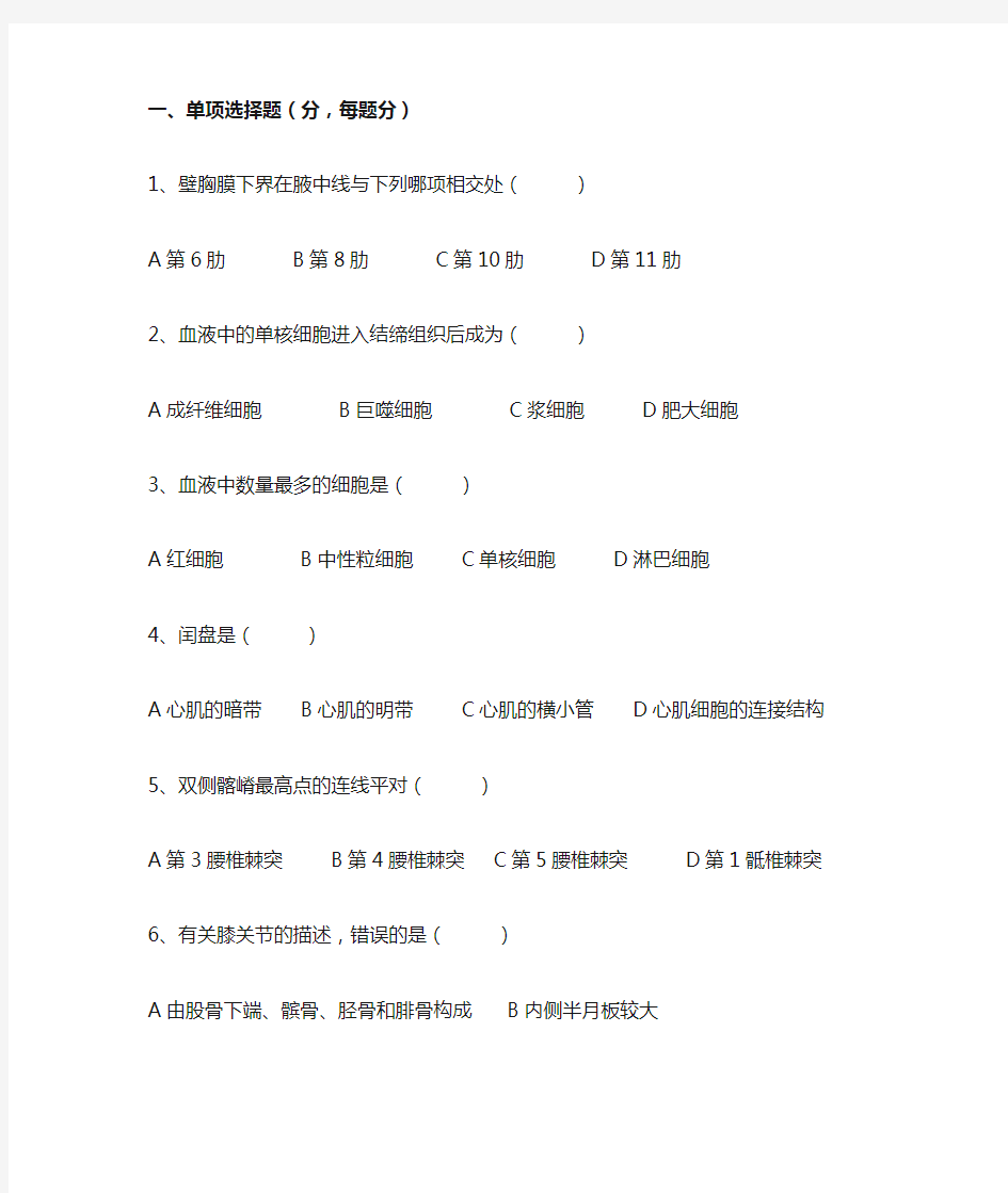 人体解剖学试题及答案