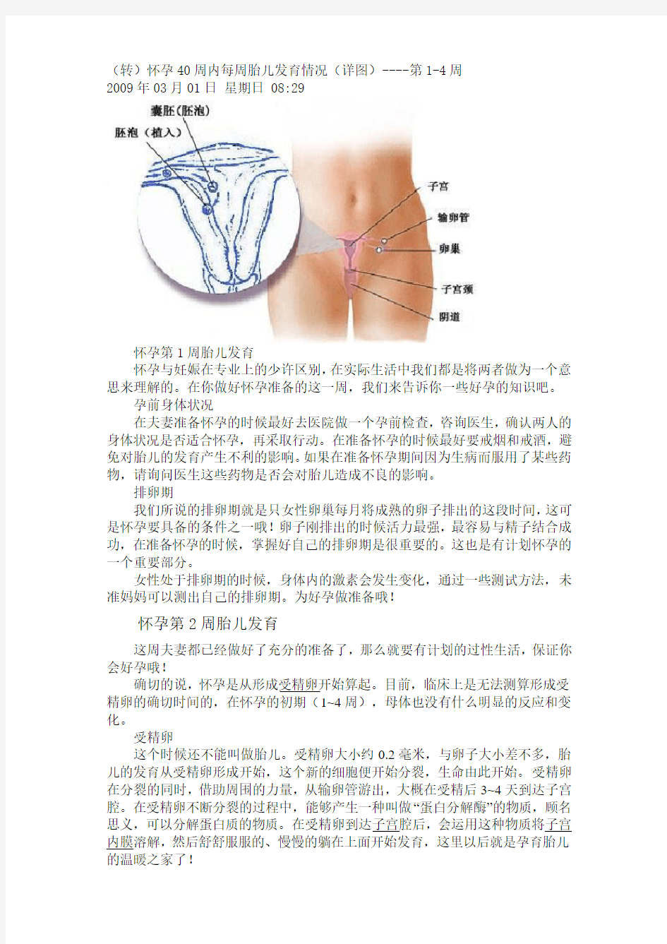 怀孕40周内每周胎儿发育情况(详图)----第1-4周