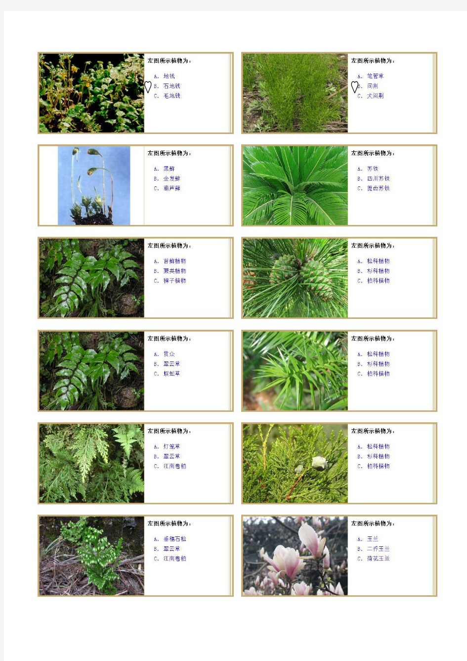 植物学实验及答案