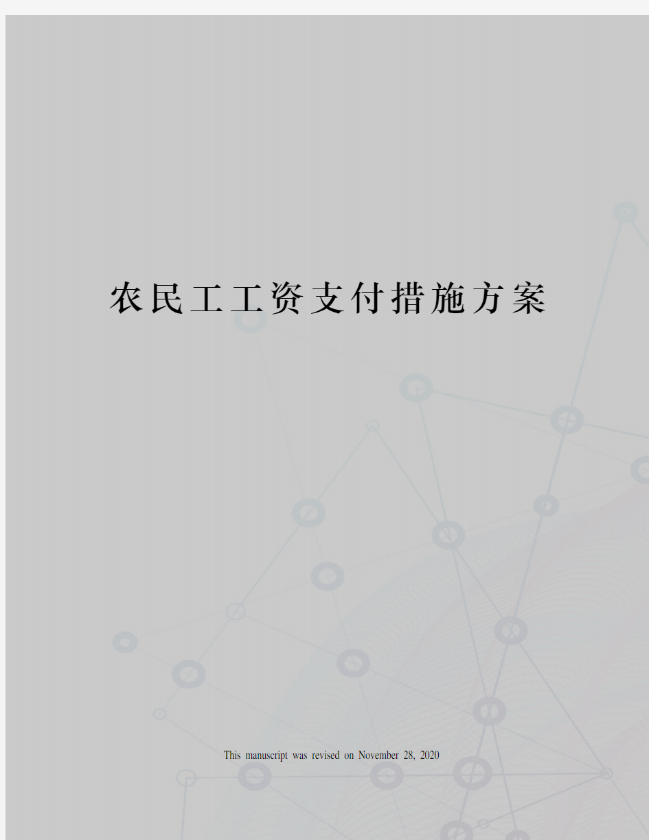 农民工工资支付措施方案