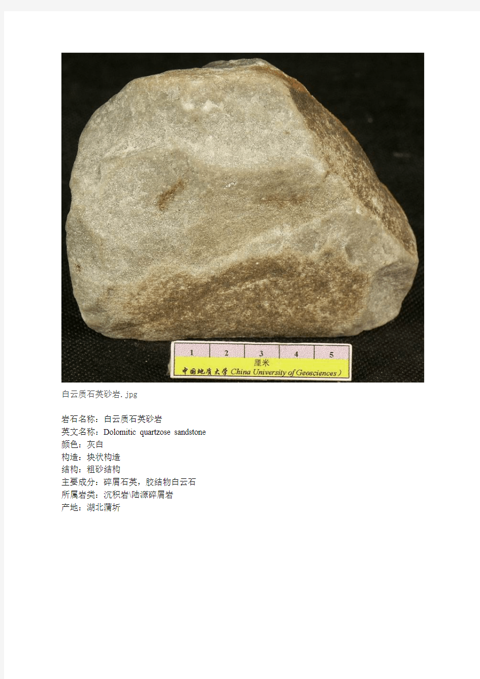 岩石(沉积岩类)构造类型及标本