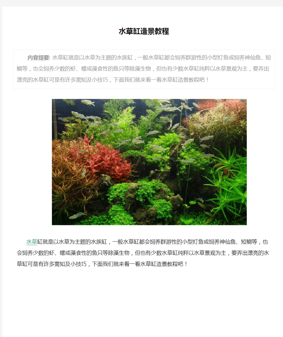 水草缸造景教程