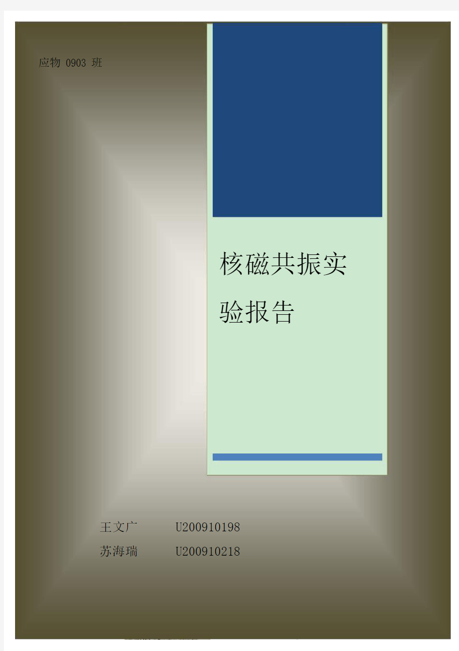 核磁共振实验报告材料.doc