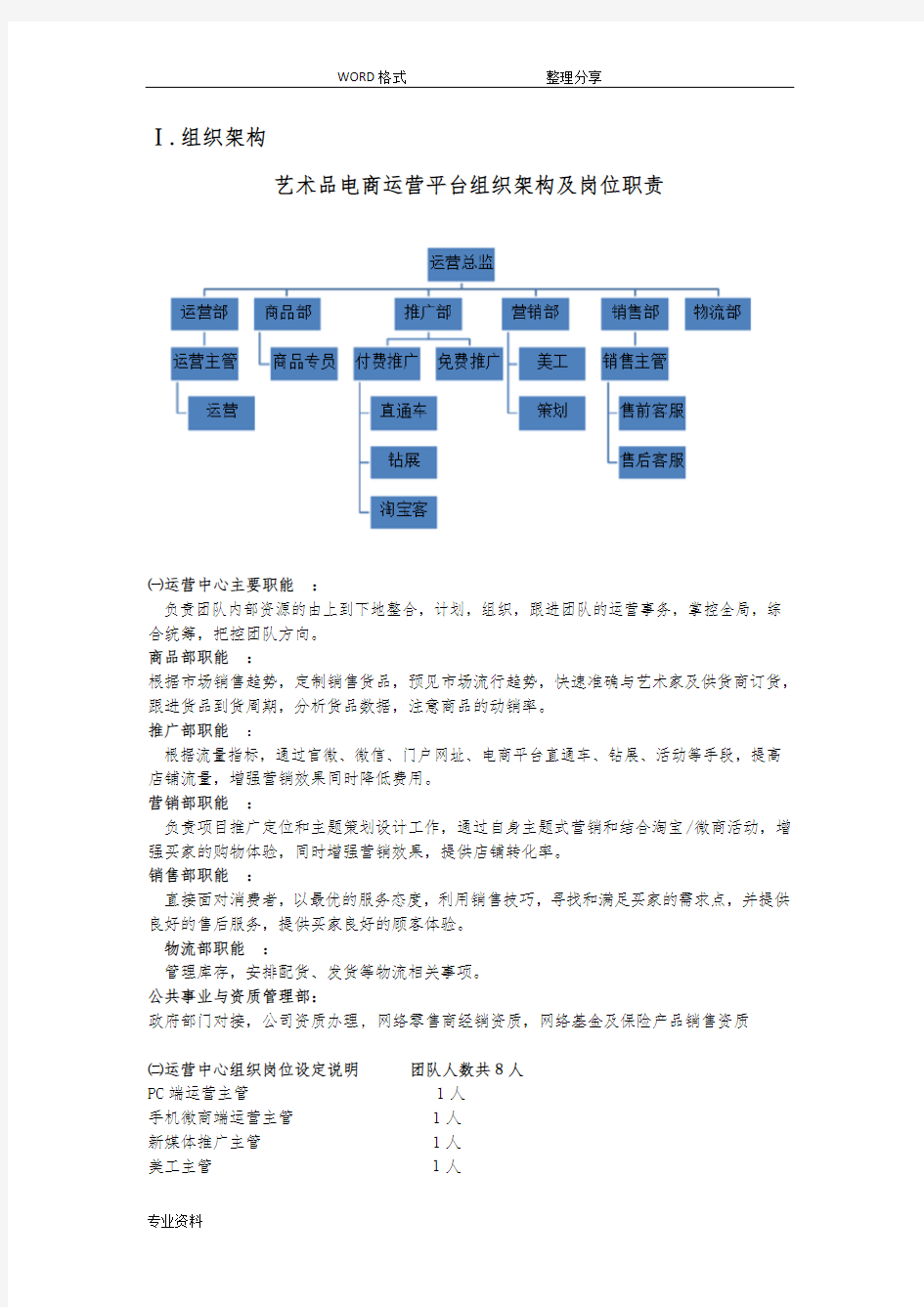 2017电商平台运营计划书模板