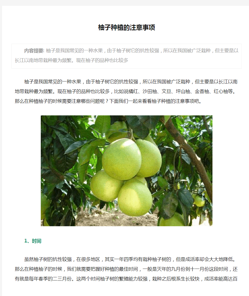 柚子种植的注意事项