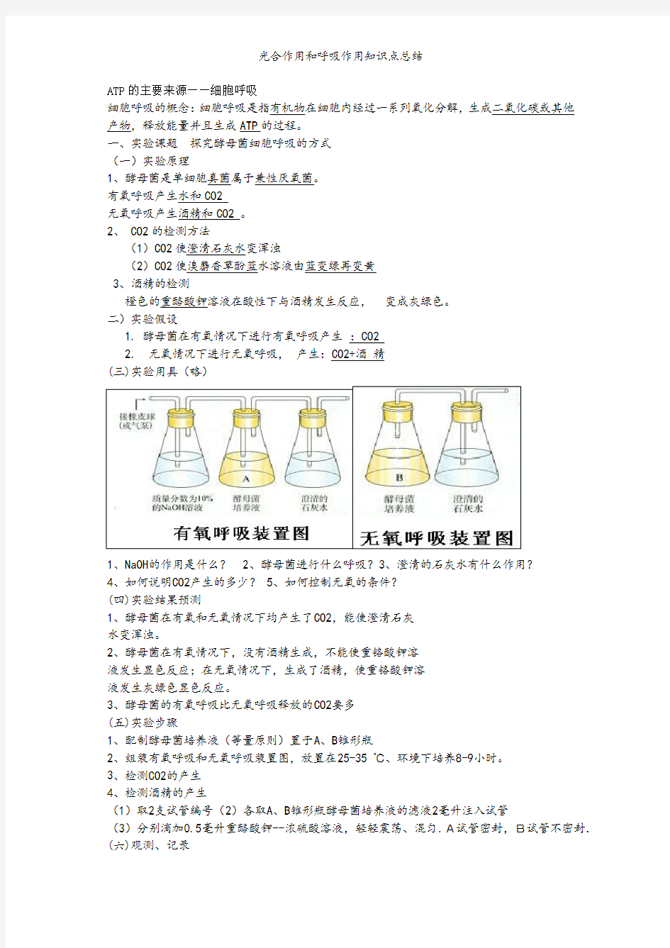 光合作用和呼吸作用知识点总结