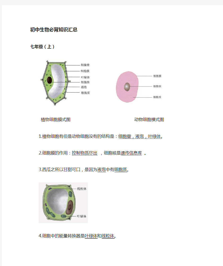 初中生物毕业会考复习资料(必背)