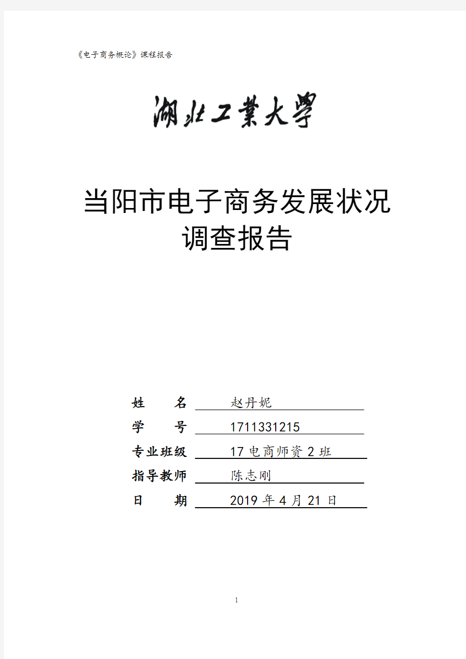 当阳市电子商务发展状况