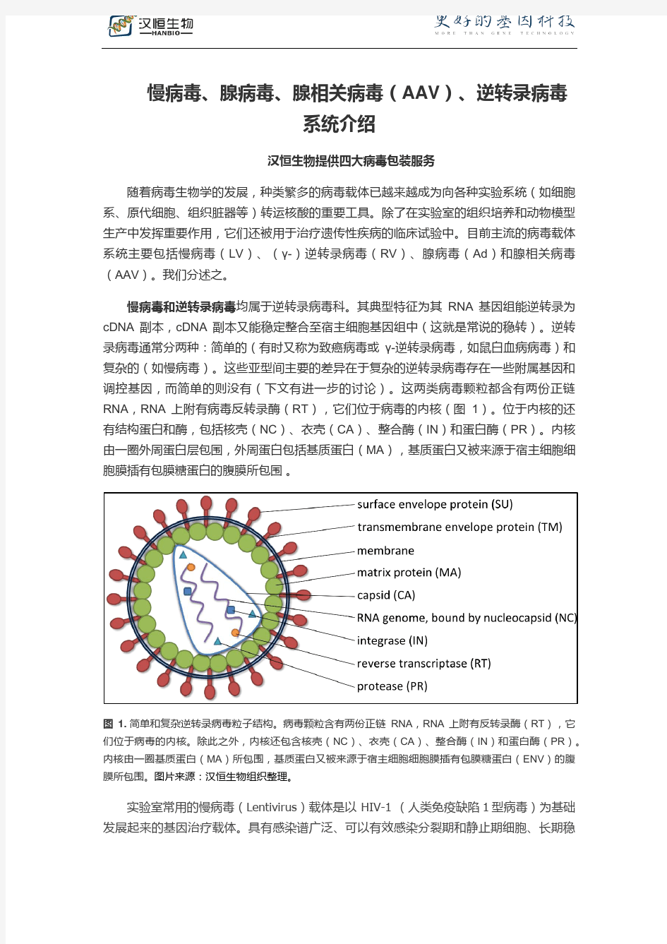 慢病毒、腺病毒、腺相关病毒(AAV)、逆转录病毒系统介绍