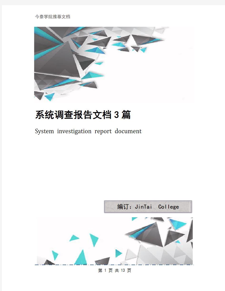 系统调查报告文档3篇