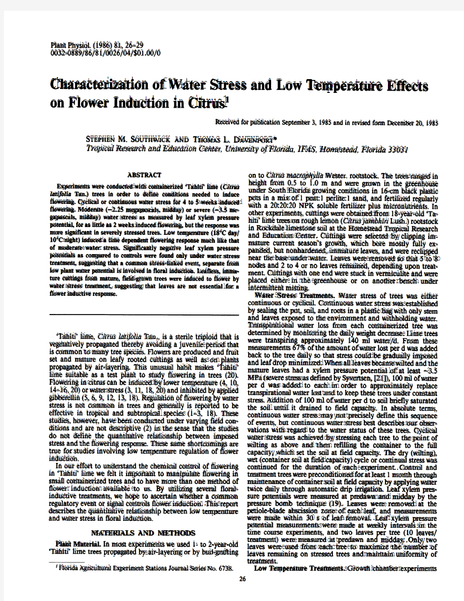 water stress and low temperature effect on flower induction in citrus