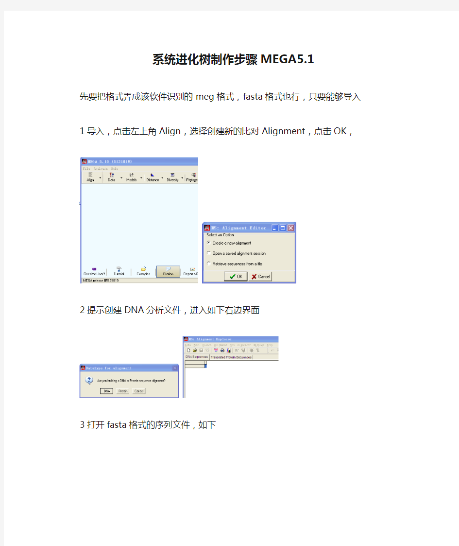 系统进化树制作步骤MEGA5.10