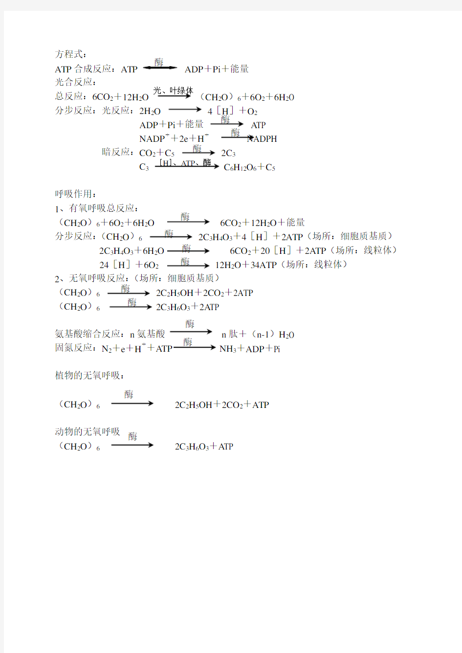 高中生物方程式