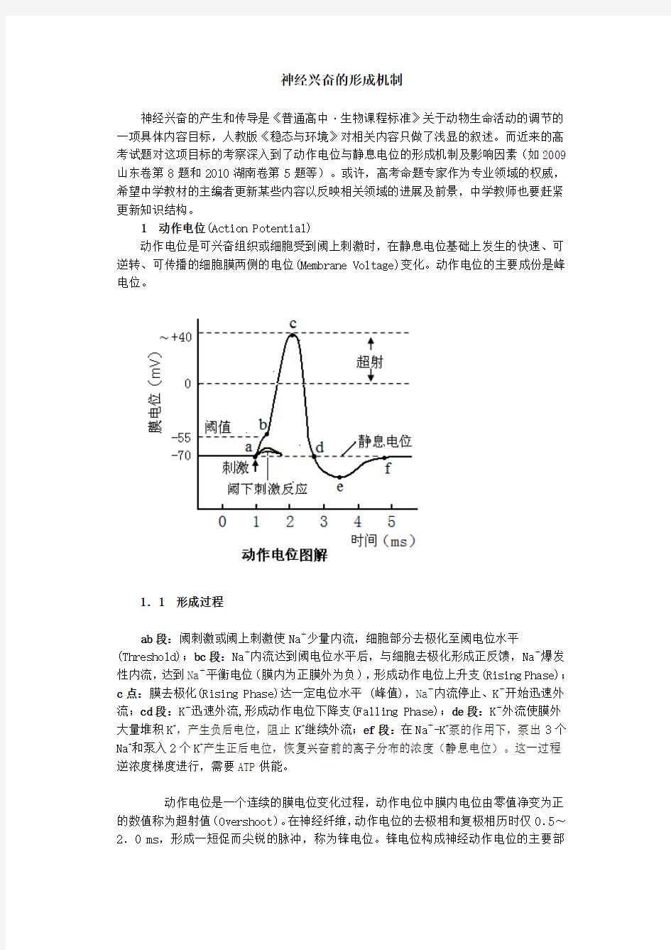 神经兴奋的形成机制