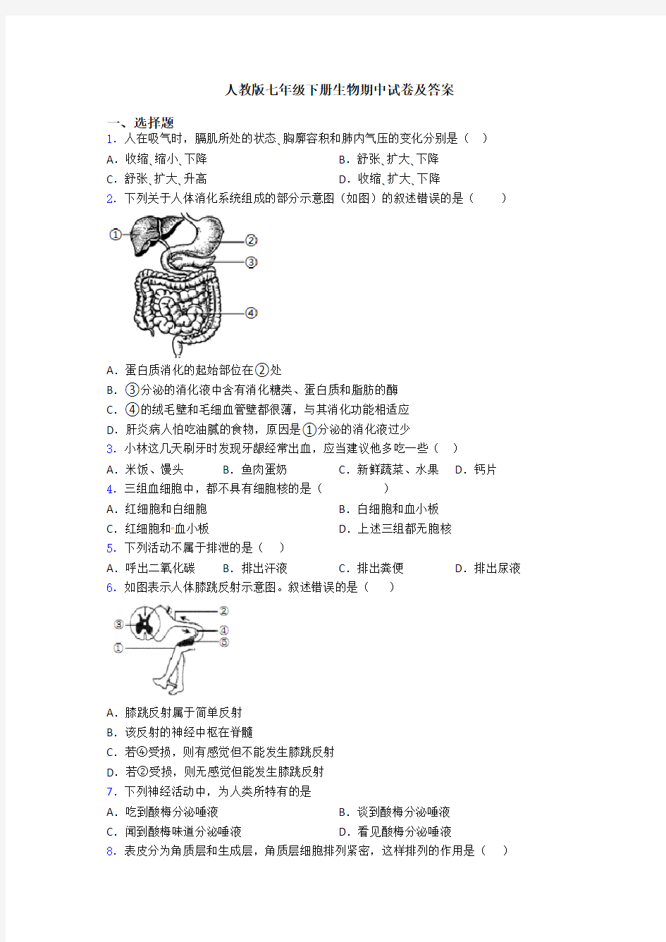 人教版七年级下册生物期中试卷及答案