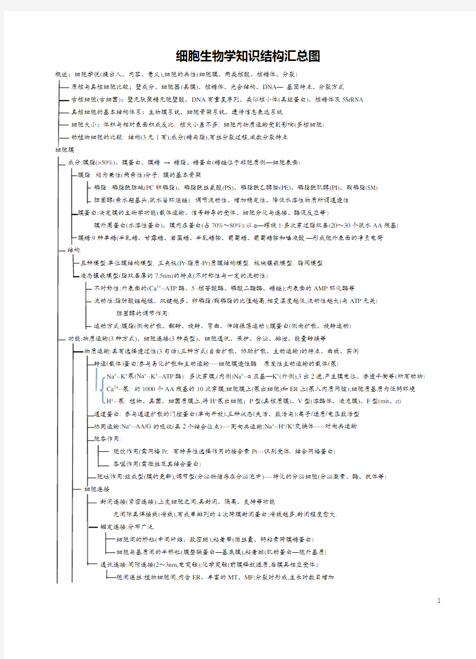 细胞生物学知识结构汇总图