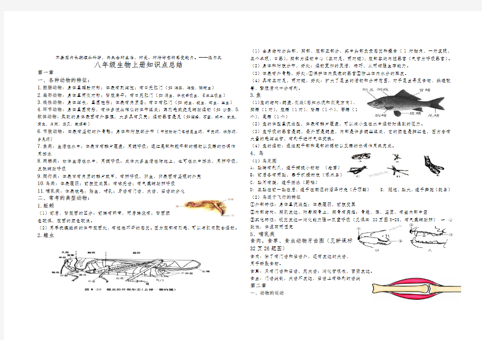 人教版八年级生物上册知识点总结(最新最全)