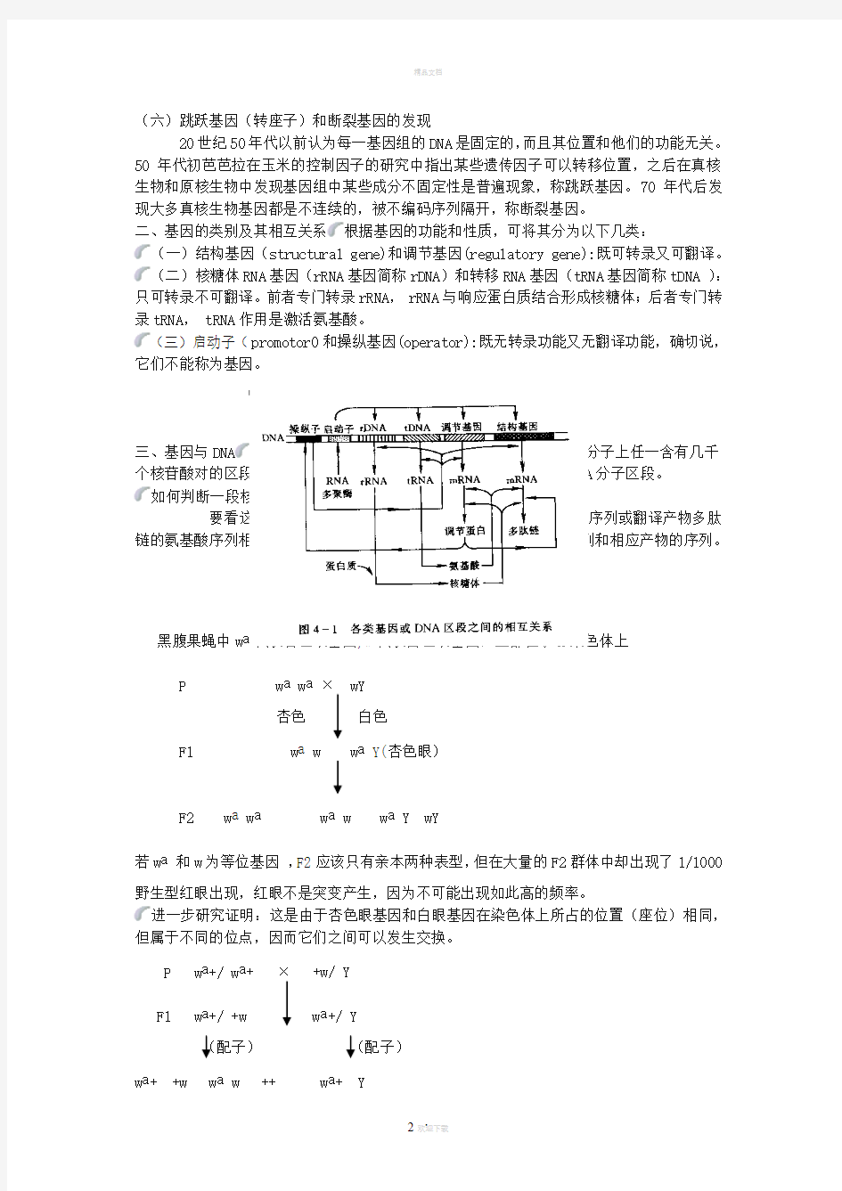 第四章-基因的结构和功能