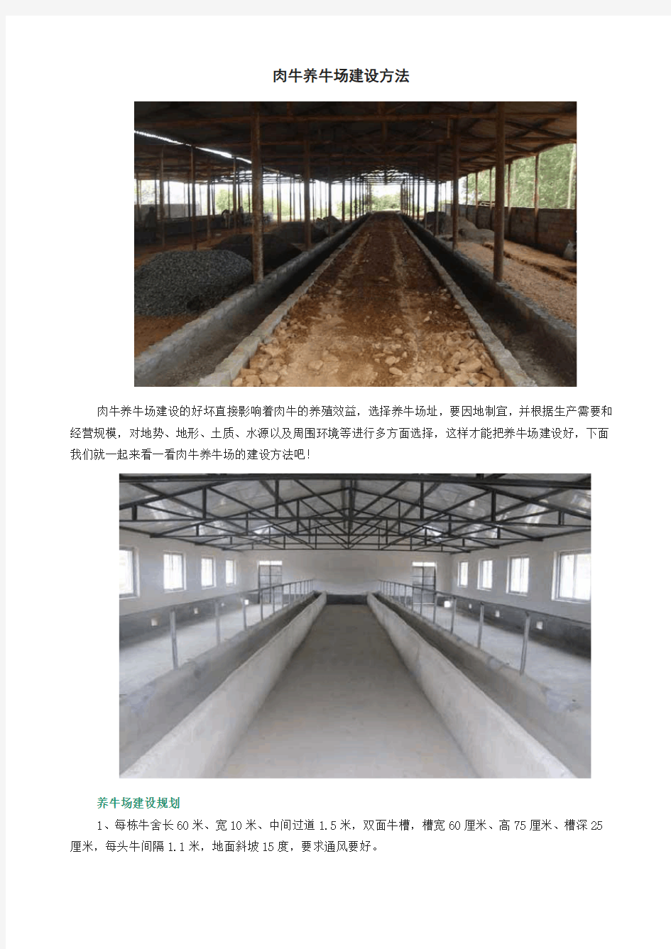 肉牛养牛场建设方法