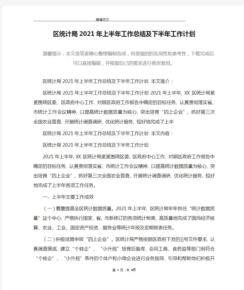 区统计局2021年上半年工作总结及下半年工作计划精选