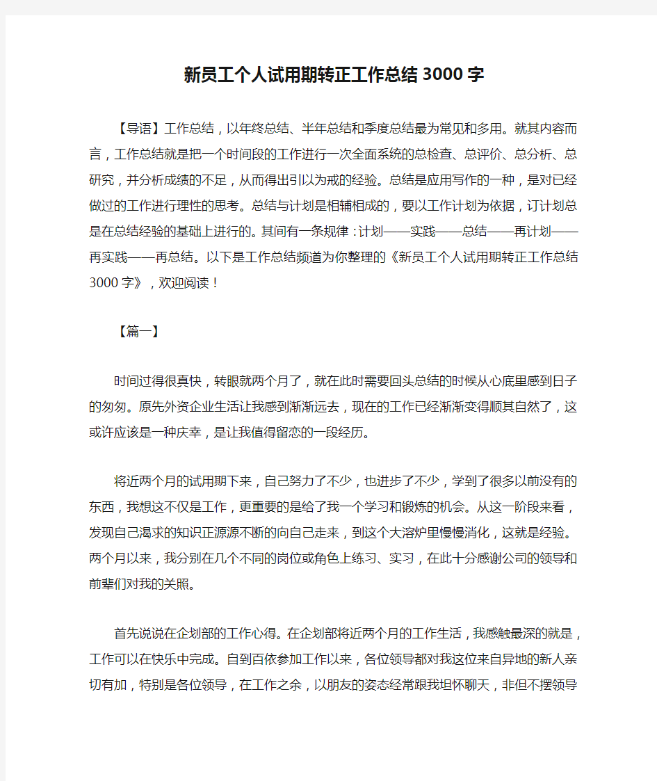 新员工个人试用期转正工作总结3000字