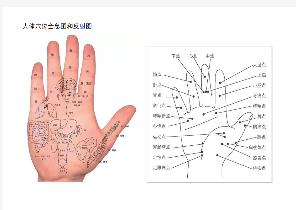 人体穴位全息图和反射图