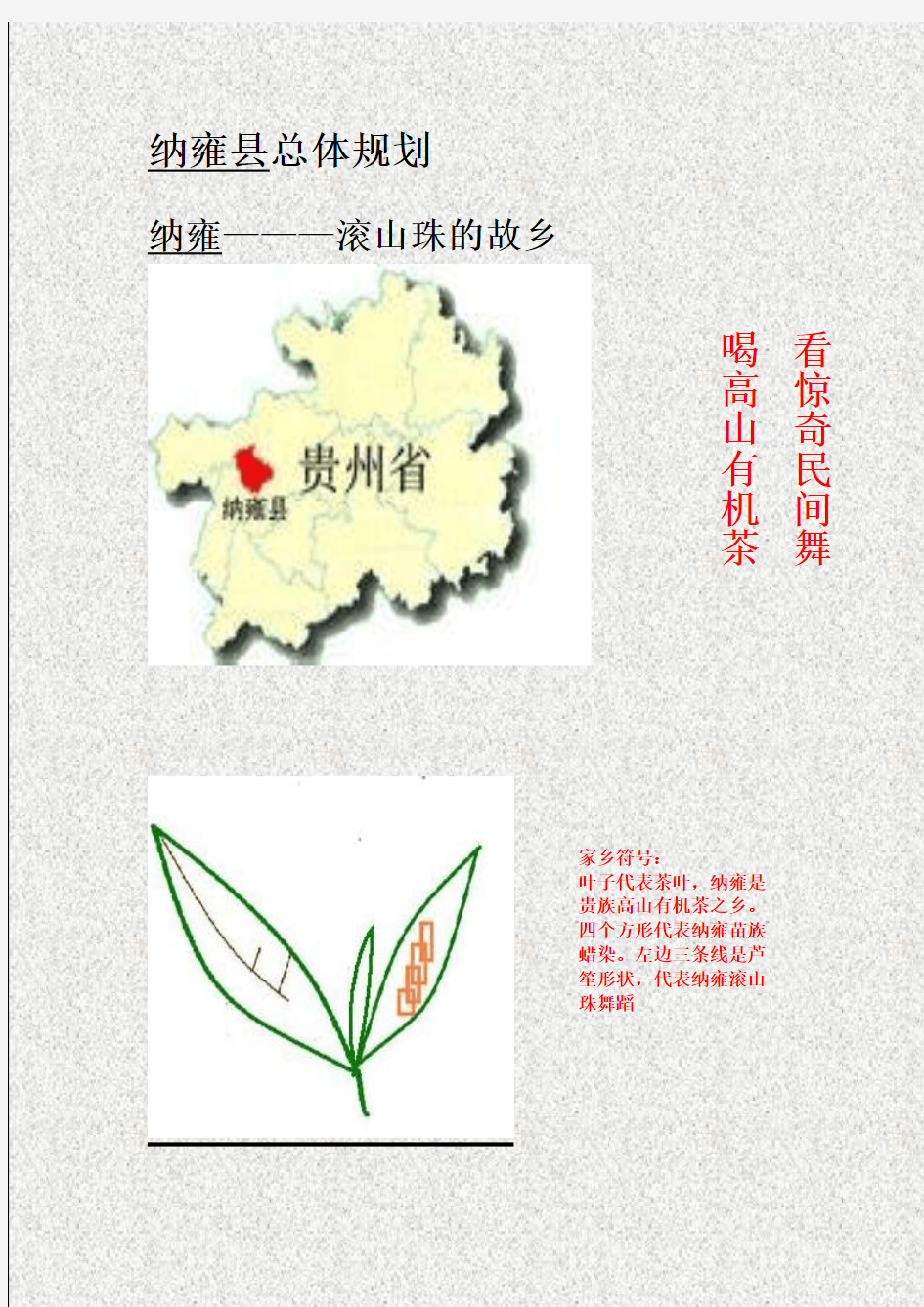 纳雍县总体规划