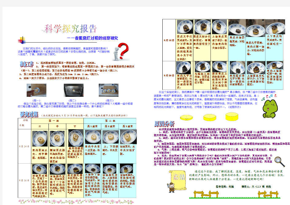 香蕉腐烂的科学探究报告