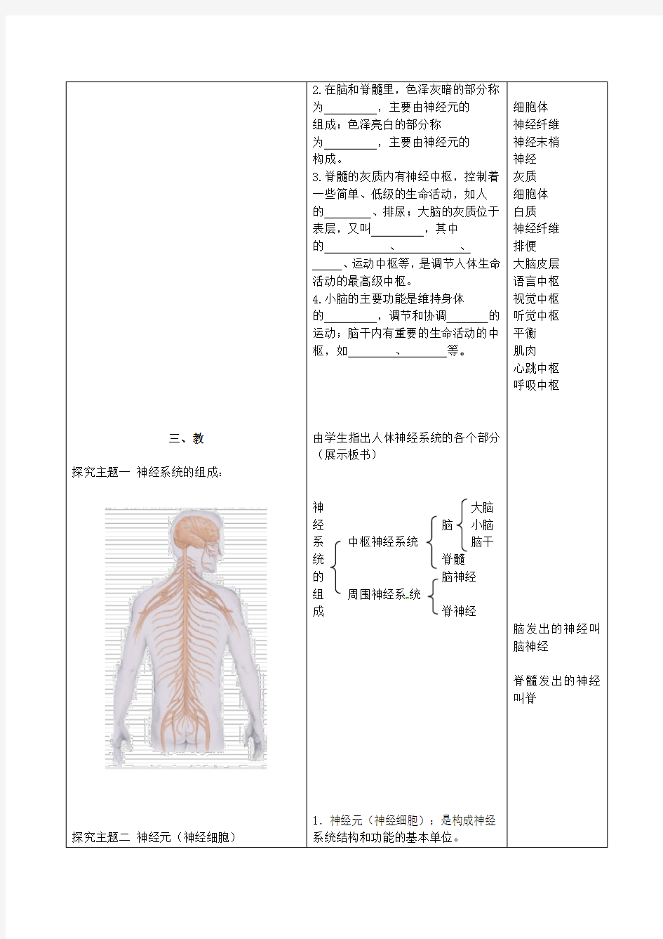 苏教版七下生物 12.2人体的神经调节  教案设计