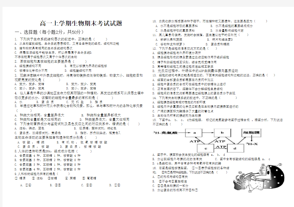 高一上学期生物期末考试试题